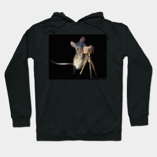 Photographer mouse Hoodie